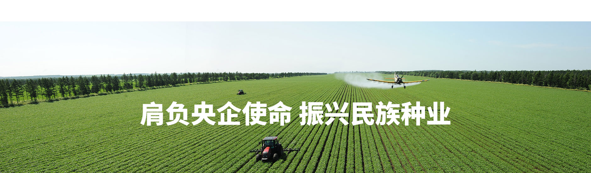 中农发种业集团股份有限公司
