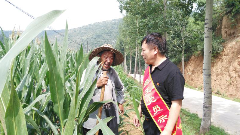 党员在田间地头为农民讲科学种植.png