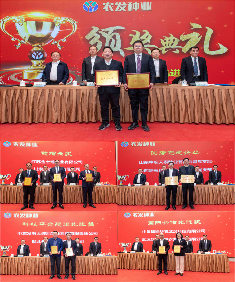 图片10.png