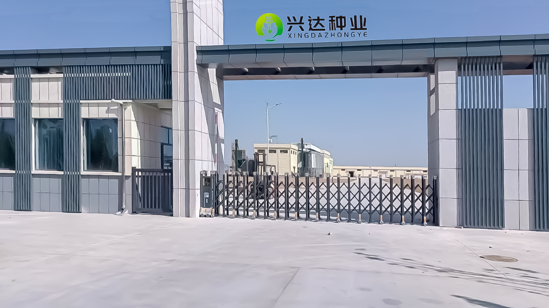 未标题-2.png