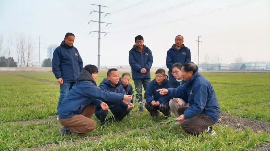 图片7.png