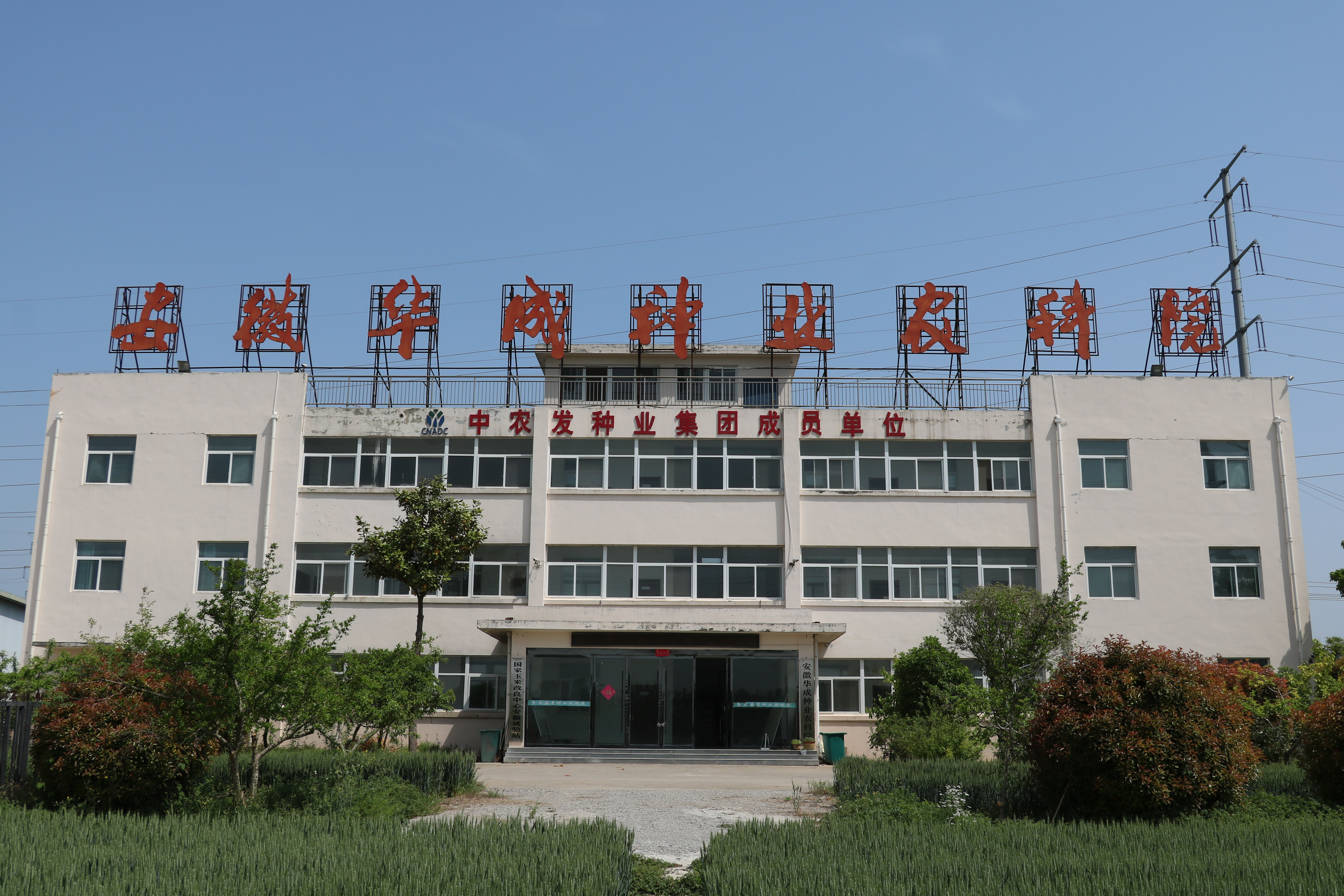 图片1.png