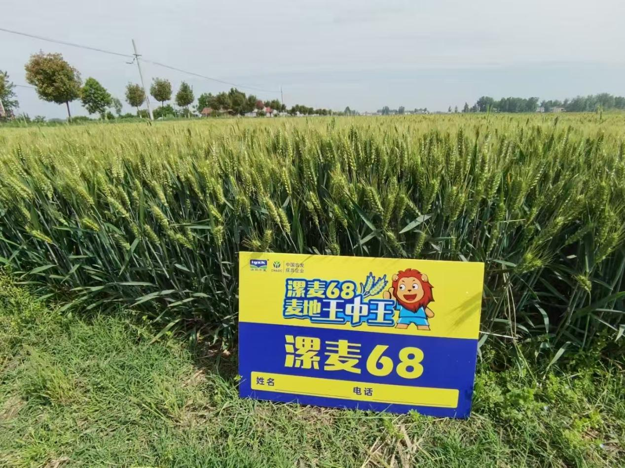 图片1.png