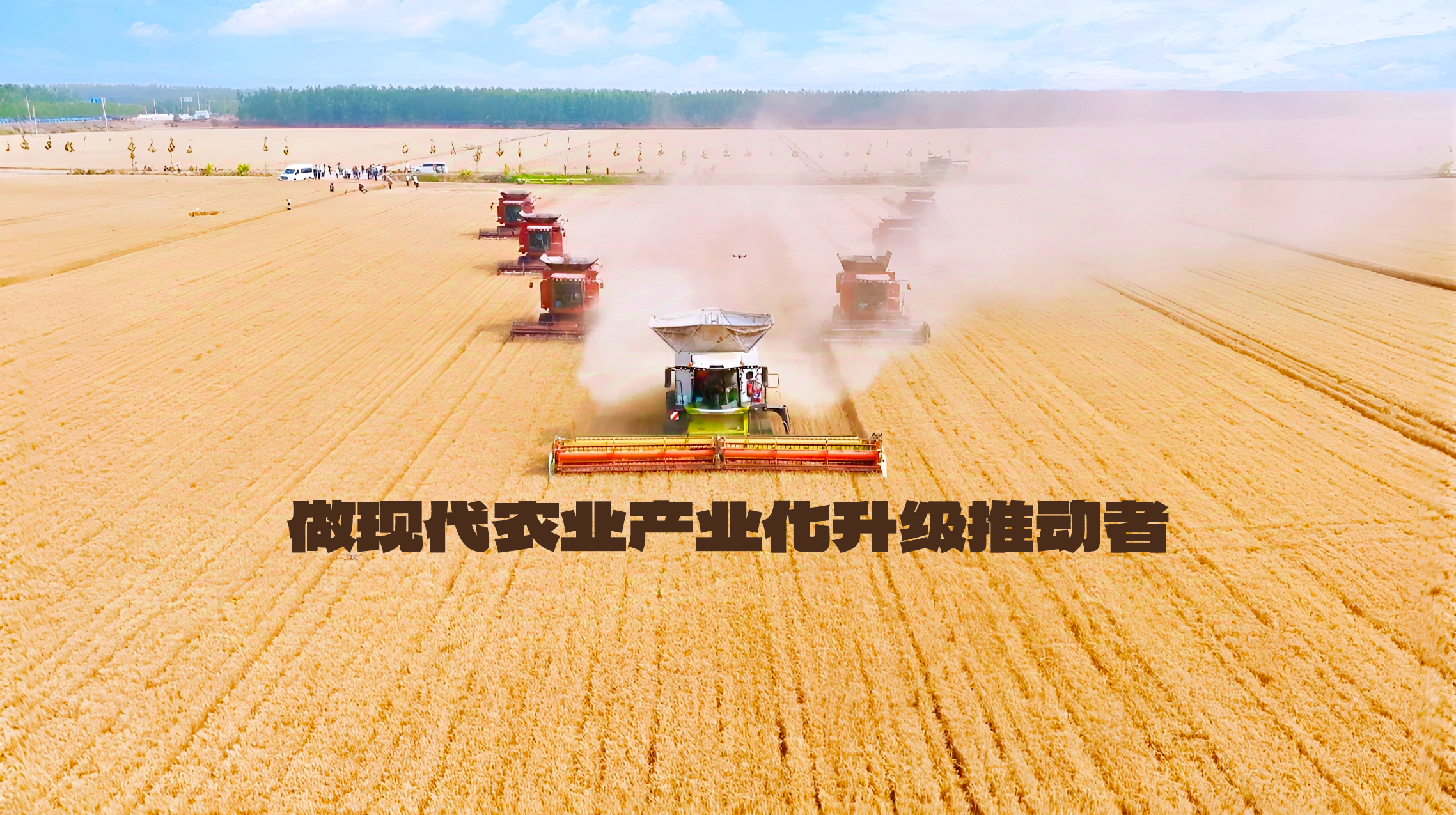 做现代农业产业化升级推动者