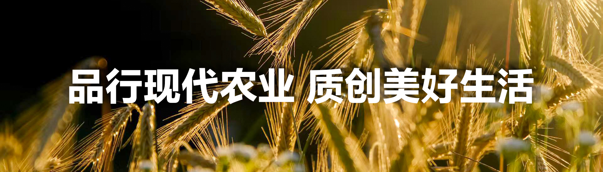 品行现代农业，质创美好生活