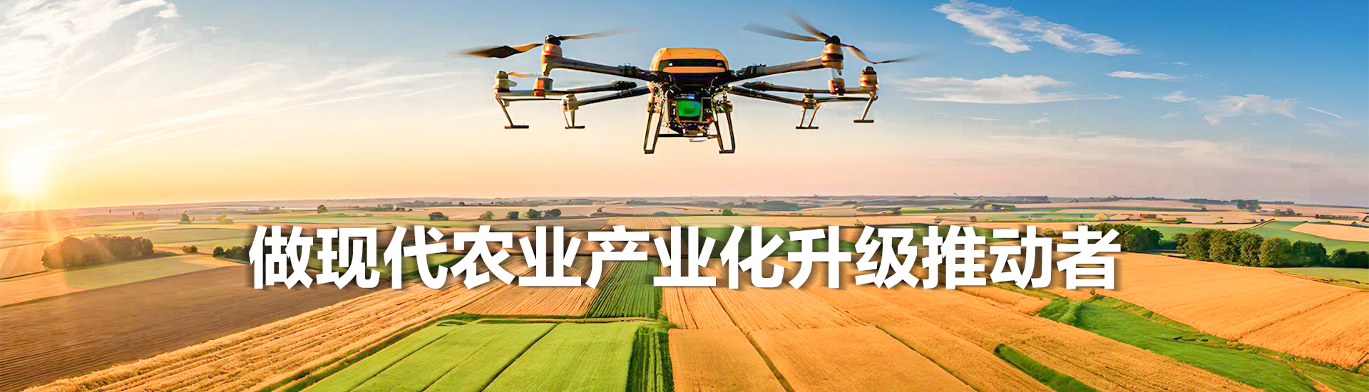 做现代农业产业化升级推动者