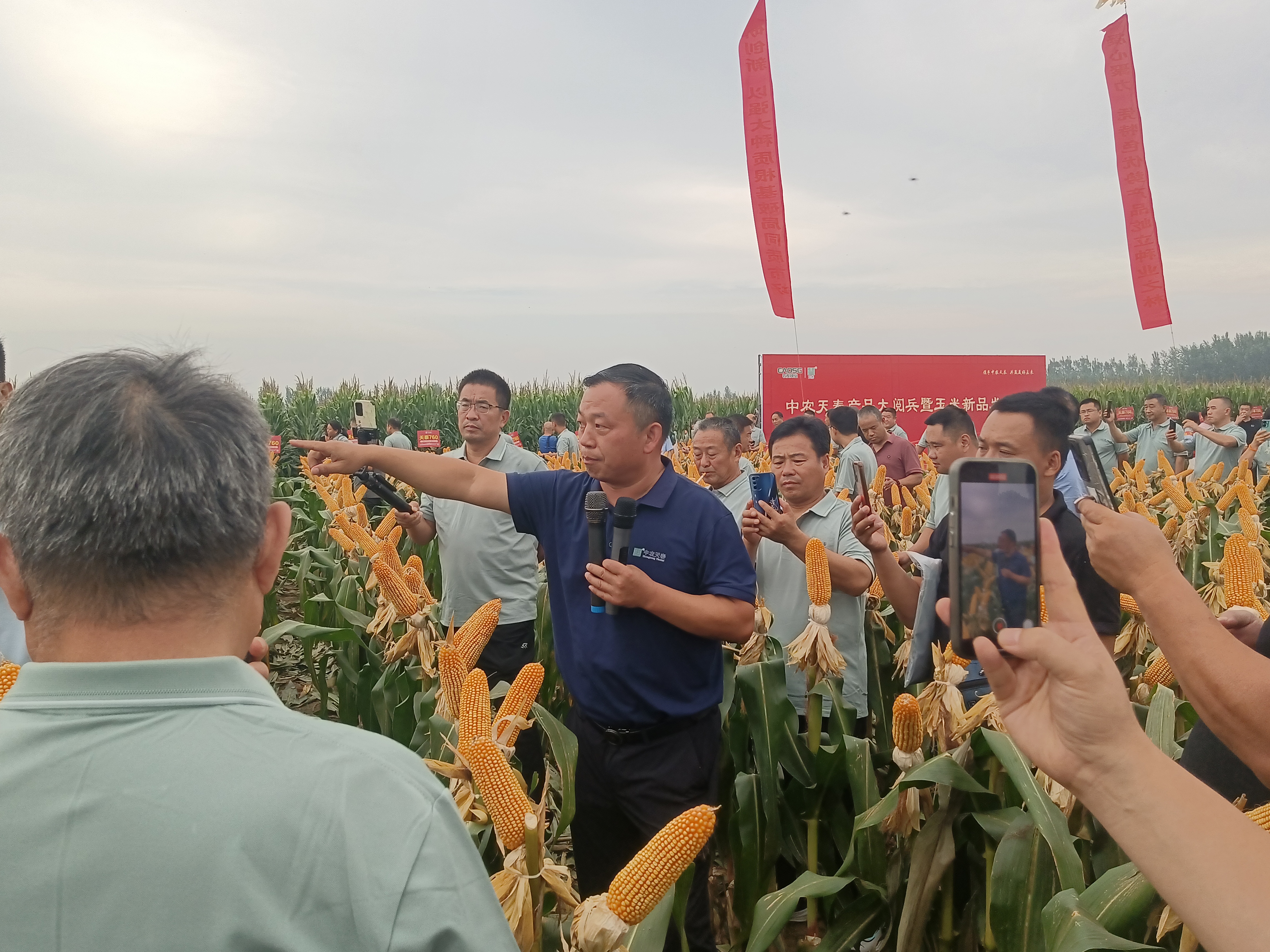 图片5.jpg