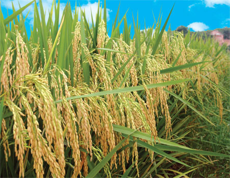 图片6.png 图片6.png