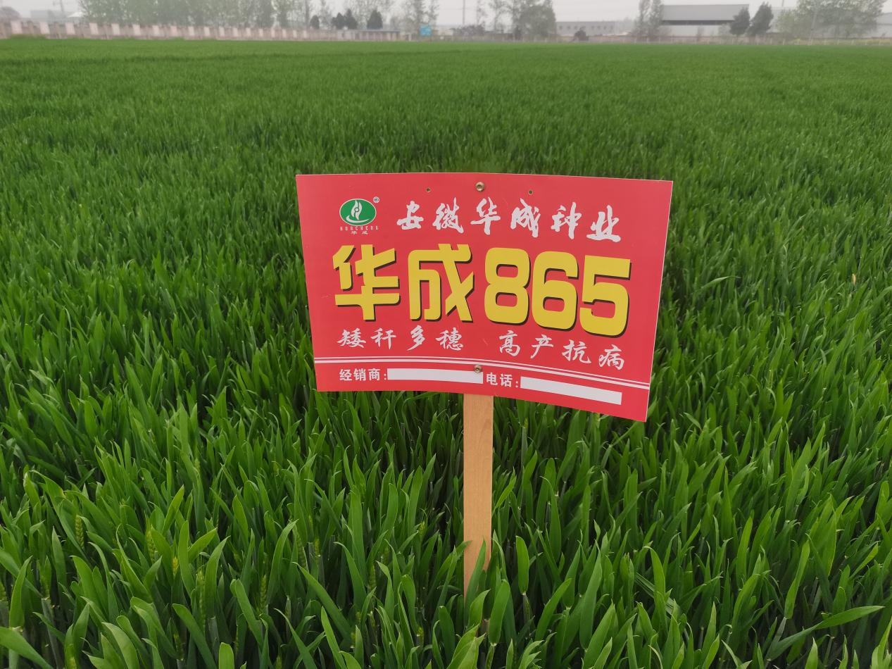 图片7.png 图片7.png