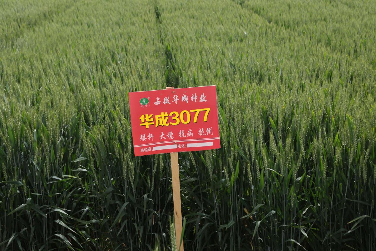 图片8.png 图片8.png