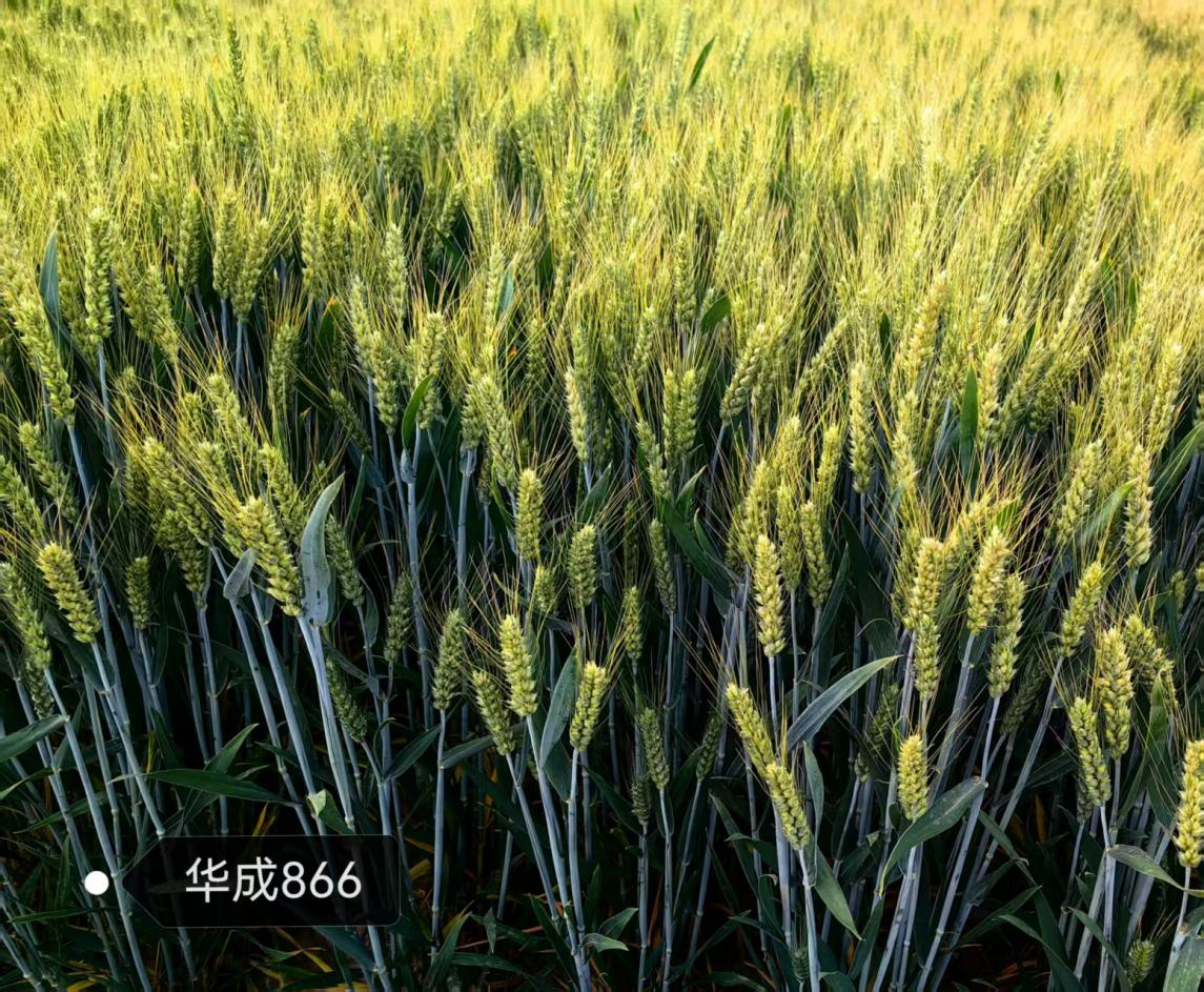 图片11.png 图片11.png