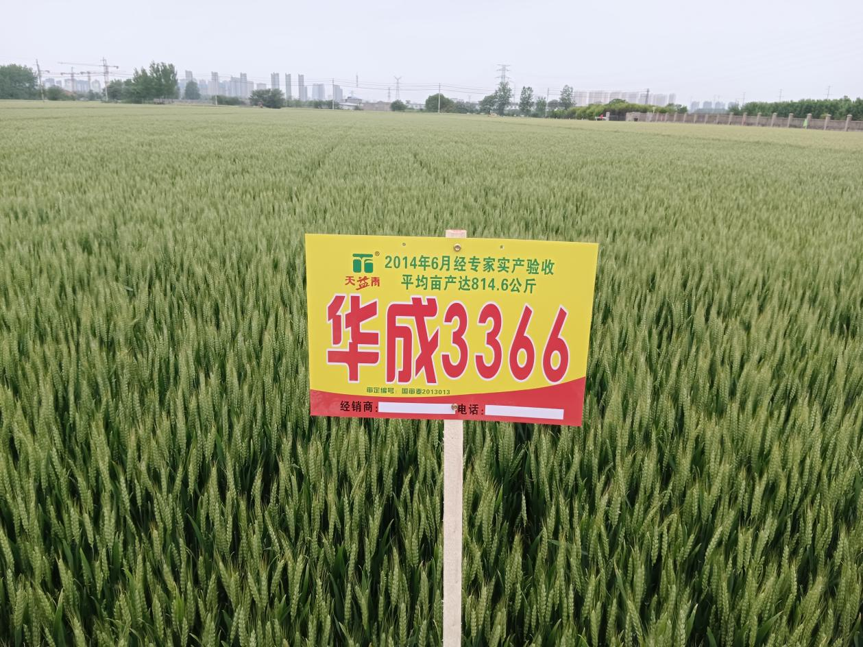 图片13.png 图片13.png