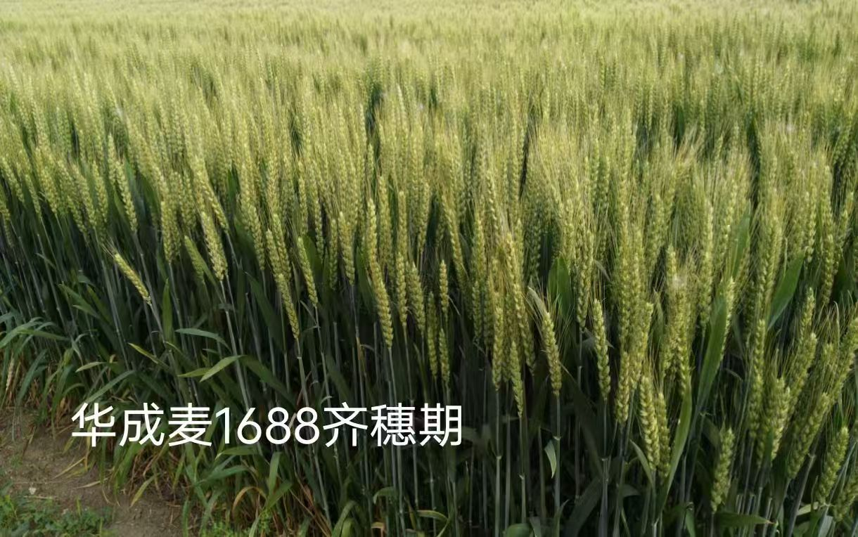 图片14.png 图片14.png