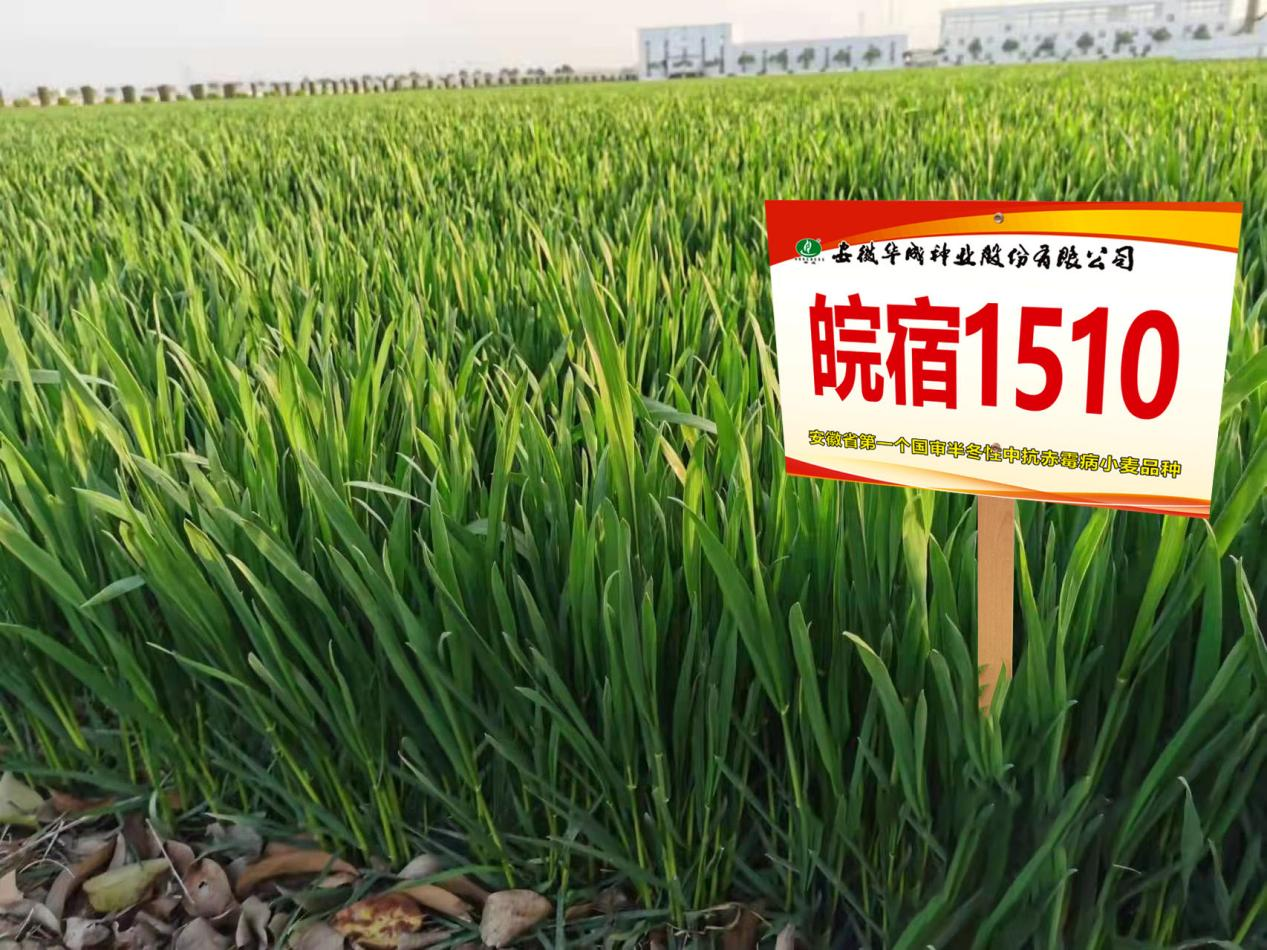 图片15.png 图片15.png