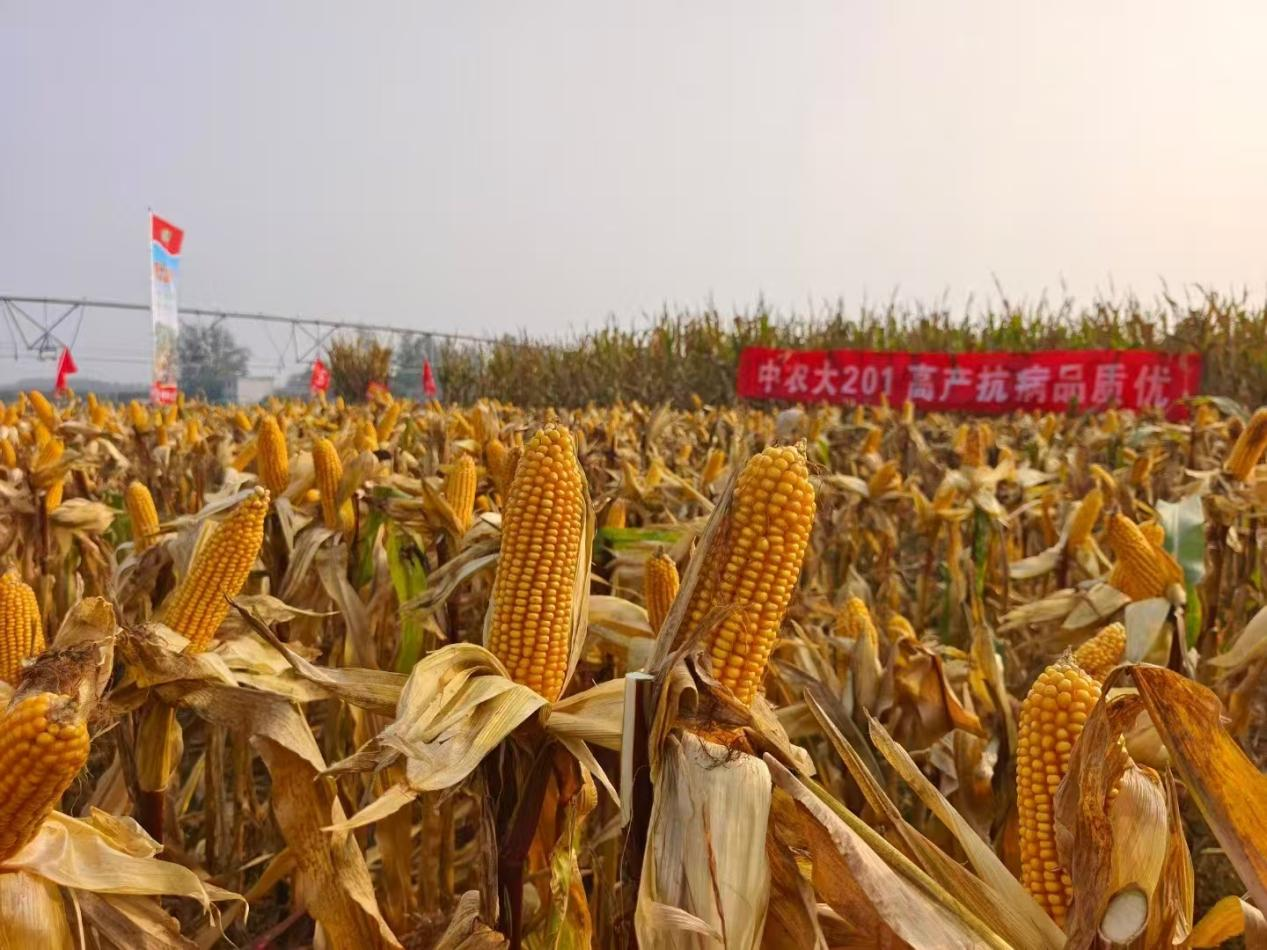 图片16.png 图片16.png