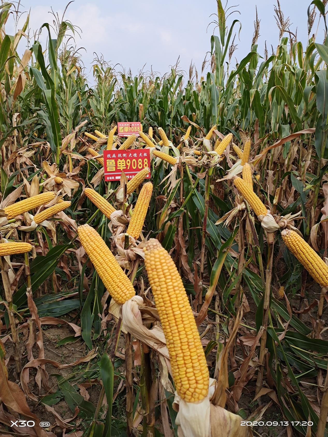 图片18.png 图片18.png