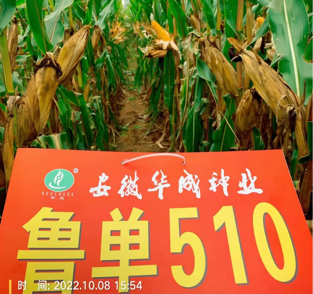 图片21.png 图片21.png