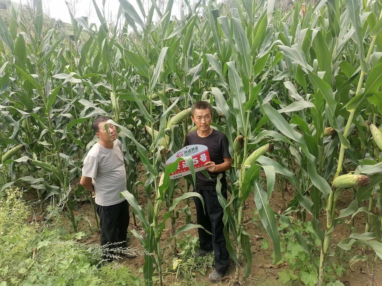 图片22.png 图片22.png