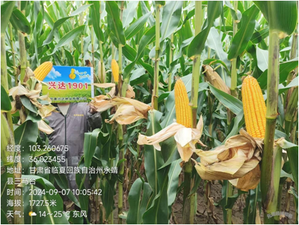 图片23.png 图片23.png