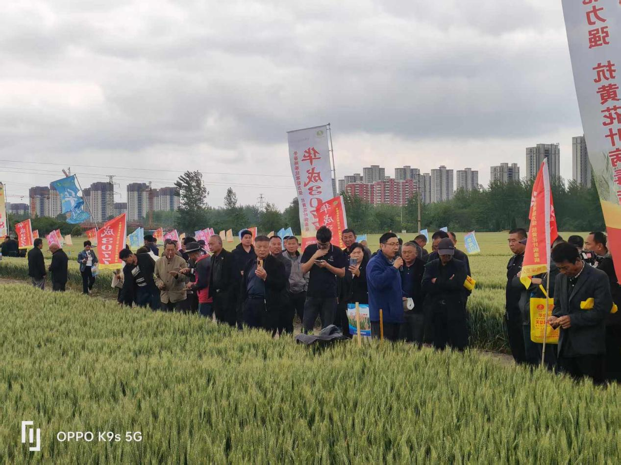 微信图片_2026-02-28_172528_594.png 微信图片_2026-02-28_172528_594.png