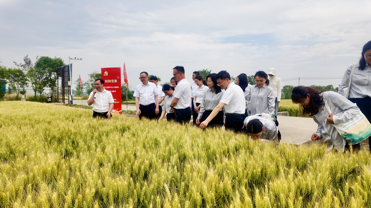 微信图片_2026-02-28_172700_372.png 微信图片_2026-02-28_172700_372.png